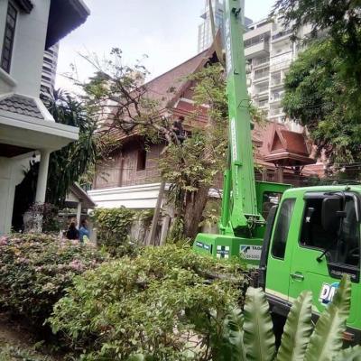 ตัดโค่นต้นไม้บ้านคุณชูวิทย์